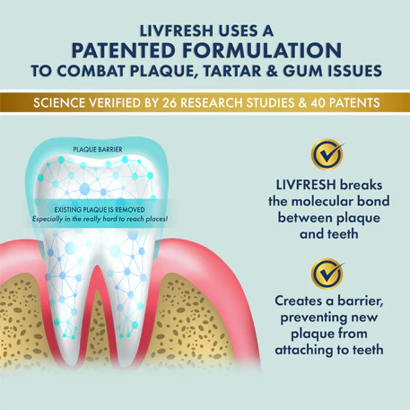LivFresh Wintergreen Gel Toothpaste (Quiz) - Image 3